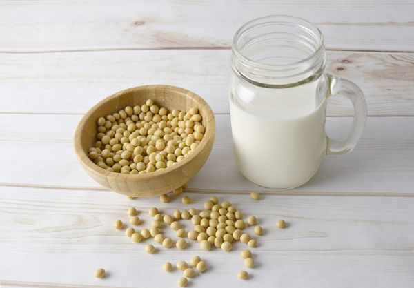 誠實開箱｜The Vegan 樂維根 全素植物蛋白飲，三款經典口味真實評測